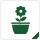 Piante e fiori