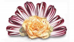 radicchio