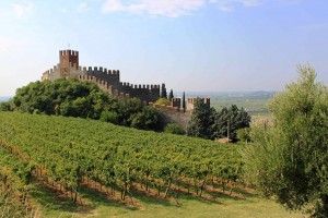 soave_O1