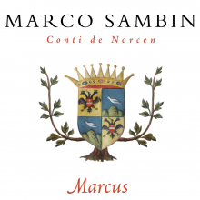 Vini Marcus vi invita alla Festa di San Marco