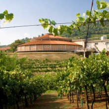 Azienda Vinicola Dal Maso