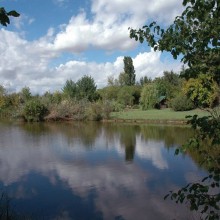 Agriturismo Il Boschetto