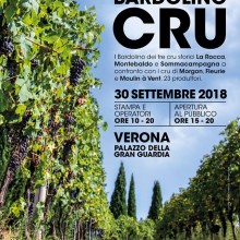 Bardolino Cru