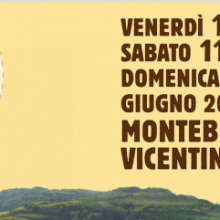 Garganica: alla scoperta dei vini vulcanici del Gambellara DOC