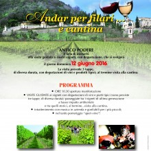 Andar per filari e cantina… – Il 12 Giugno alla cantina Antico Podere
