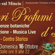 Colori Profumi e Sapori d’Autunno a Valeggio sul Mincio