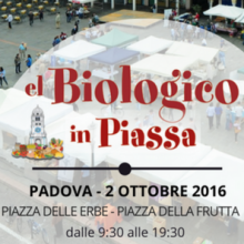 El Biologico in Piassa