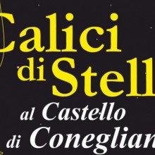 Calici di Stelle 2016 a Conegliano