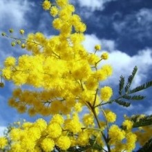 Agriturismo La Calendula – Omaggio alle donne