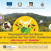 Passeggiando con Bacco per le cantine dei vini doc Gambellara