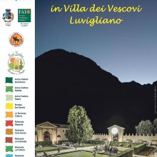 Torreglia sotto le stelle