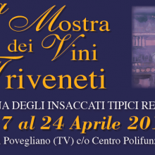 40° Mostra dei vini Triveneti